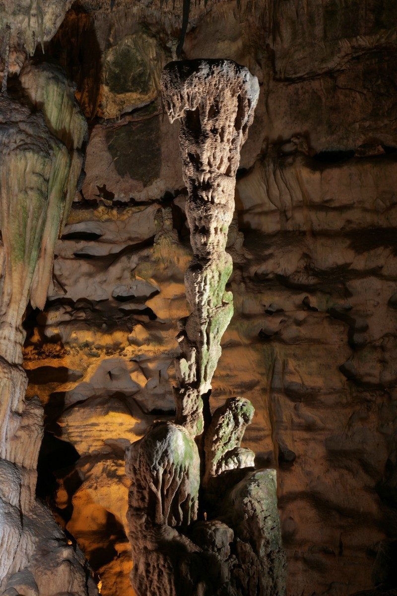 Civetta alle Grotte di Castellana
