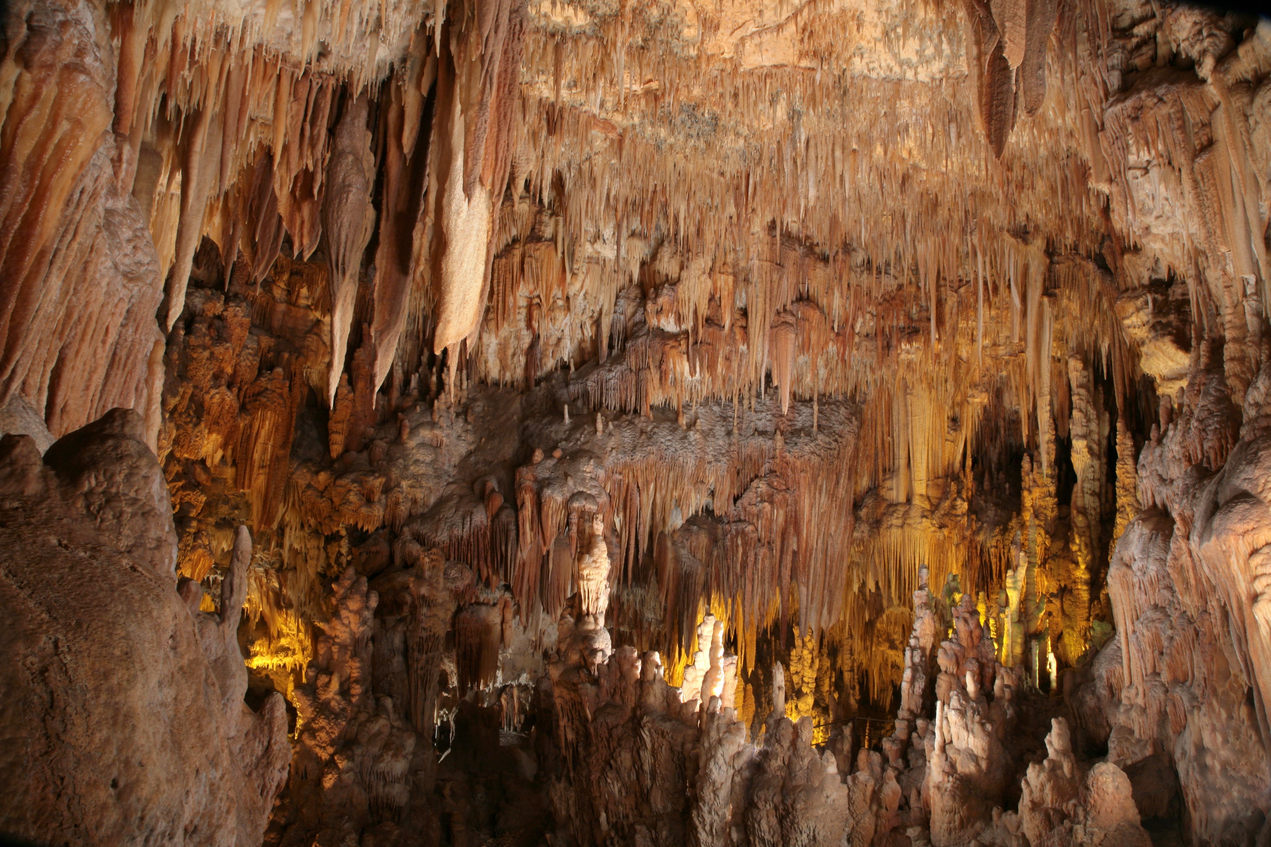 Foto e Video - Grotte di Castellana, in Puglia tutto l'anno